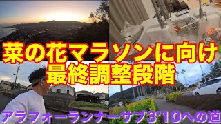 [Vlog] #26 菜の花に向け最終調整