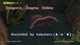 【女性実況】DDON#13【手元配信】