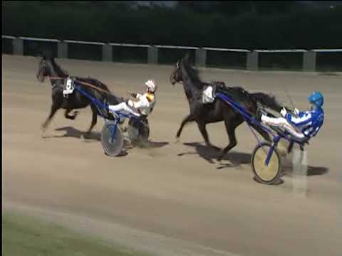 Trotto 16/11/2018 - 5ª corsa