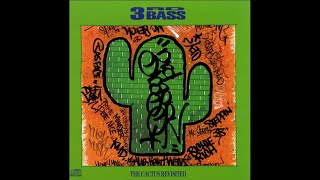 3rd Bass - Steppin&#39; To The A.M. (Revisited Remix)