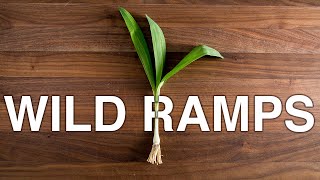 what the hell are RAMPS?