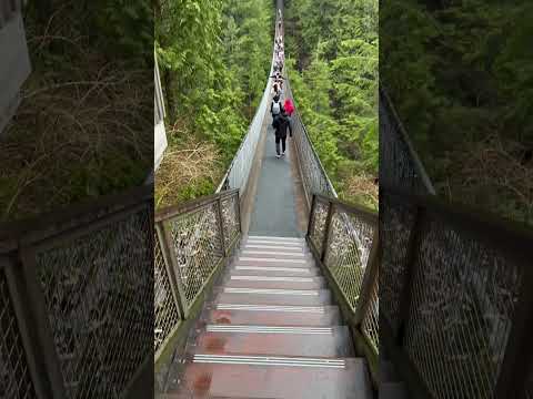 2023-02|Viagem a Vancouver|Ponte Capilano-1