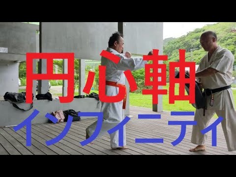 Syuri Syorin Ryu 前蹴り、回し蹴り、肘打ち