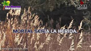 No Dejes De Quererme   Pablo Montero    Las Rocas