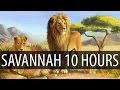 Diviners - Savannah (feat. Philly K) 【10 HOURS】