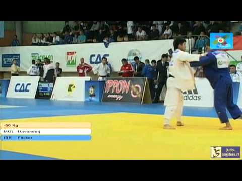 Judo 2013 European Open Men Budapest: Davaadorj (MGL) - Flicker (ISR) [-66kg]