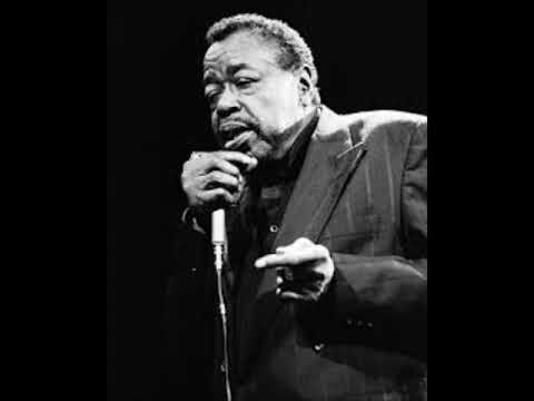 Carey Bell : Laundromat Blues (1978)