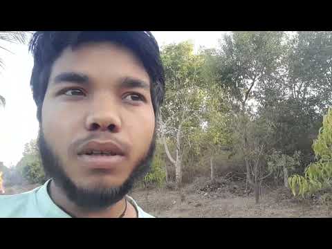 Sanjeet Kumar YouTube channel dog German shepherd I love dogs 🐕🐕🐕💯💯❤️❤️