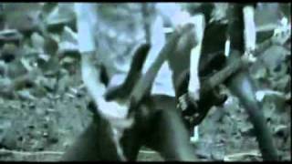 I Killed The Prom Queen &quot;Say Goodbye&quot;