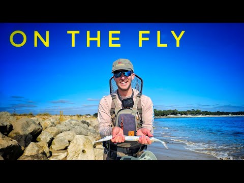 NEW SPECIES ON THE FLY | SALTWATER FLY FISHING