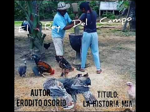 la historia mía erodito osorio