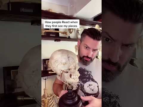 Taking a look at my real Victorian human skull