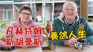 【強豪名家】凡赫特姆-斯胡曼斯｜【Super Fancier】Van Hertem-Schuurmans