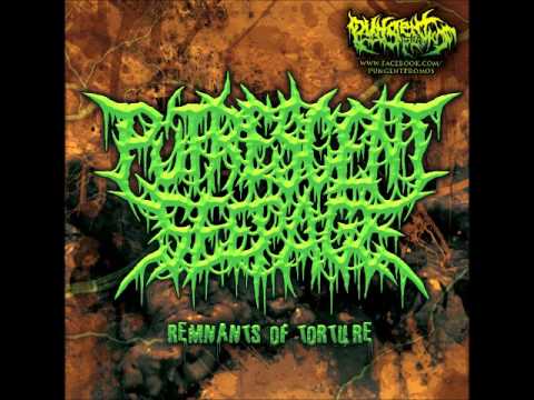 Putrescent Seepage - Maggot Birth