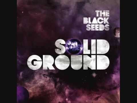 The Black Seeds - Rotten Apple | Reggae/Funk