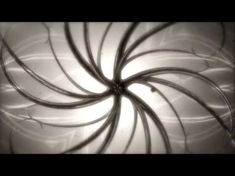 David Gtronic & Lilith (NL) - Lagrimas Del Sol (Remixes)