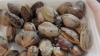 해물순두부찌개 바지락 손질