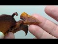 SCHLEICH „Dinosaurs“ Rinkinys - Persekiojimo skraidyklė