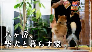 八ヶ岳移住で知った、犬は今日を本気で生きていること
