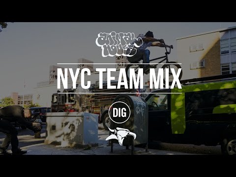 ANIMAL HOUSE NYC - TEAM MIX