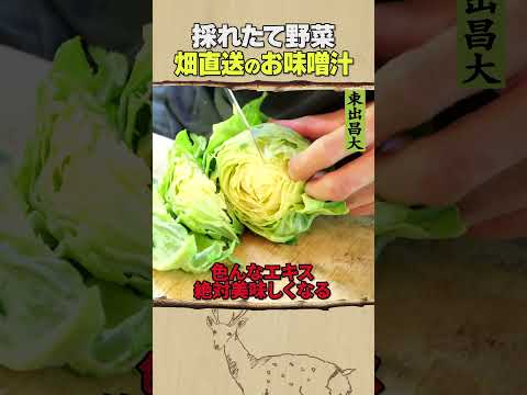 東出昌大 / 畑直送のお味噌汁