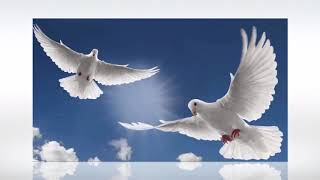 N. Lygeros - Laisse le vent souffler. (Zachary Richard), 22/03,2019