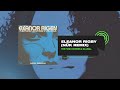 The Funk Hunters x KillWill - Eleanor Rigby (nük Remix)