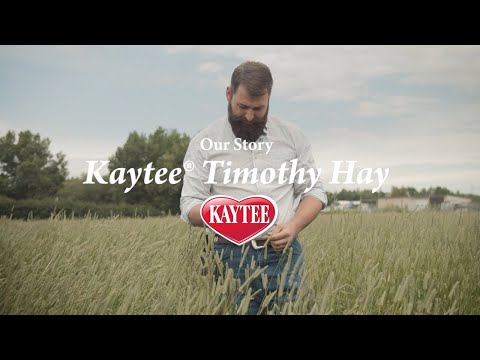 Kaytee's Hay Story