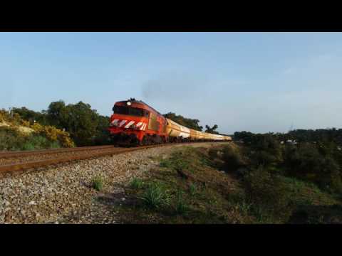 Comboio Especial n.º 98212 - Vale da Bica