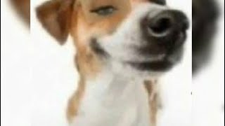 Cover art for Wrecking ball//mother mother