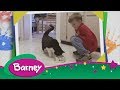 Barney Vets Full Episode