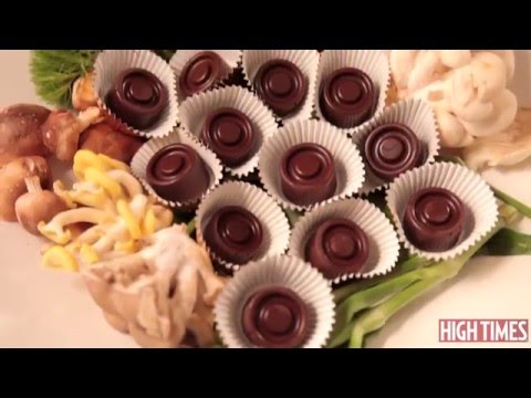 The HIGH TIMES Kitchen: Mushroom Chocolates