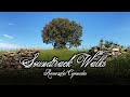 Freedomland (James Newton Howard) - Soundtrack Walks