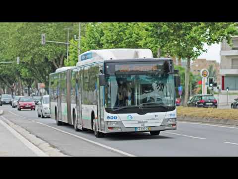 STCP 1103 (audio recording - collab)