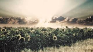 Sepalcure - The Warning