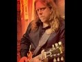 Warren Haynes - I'll Be The One