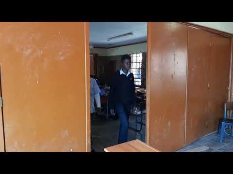 K.Money Groot & Friends | Ep 1