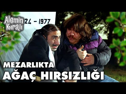Kubat ve Tapir mezarlıktan yılbaşı ağacı çalıyor - Alemin Kıralı 16. Bölüm