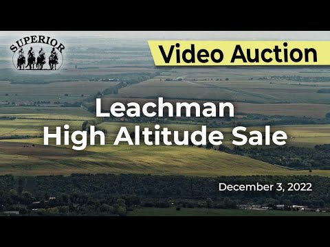 Leachman High Altitude Sale