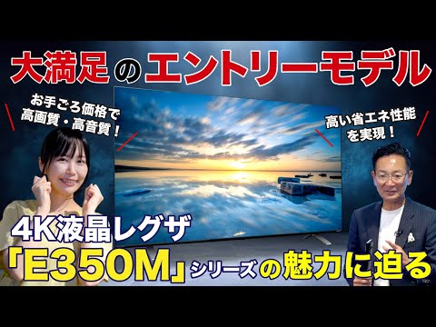 液晶テレビ REGZA(レグザ) 43E350M [43V型 /Bluetooth対応 /4K 液晶テレビ REGZA(レグザ) 43E350M [43V型 /Bluetooth対応 /4K