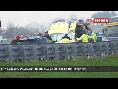 CERVO SULLA SPV IMPATTA CON UN'AUTO: GRAVISSIMO IL CONDUCENTE | 10/03/2026