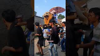 Download lagu ada singa depok lagi pentas #shorts #singadepok mp3