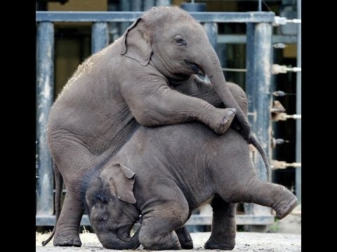 Is Republican Party Divided or Not?