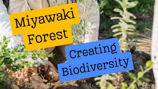 How We Created a Native Mini-Forest in a Shipyard | Miyawaki Method in Portugal