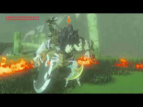 Chained WMC Makes Breath of The Wild Easy