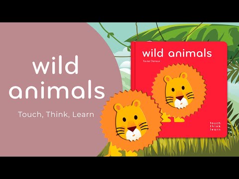Книга TouchThinkLearn: Wild Animals video 1