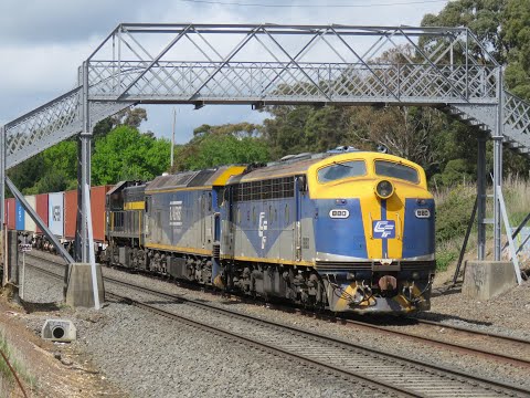 68 Year Old Streamliner B80 leads G515 and X31 on QUBE's 9173 Ultima container train- 18/10/21