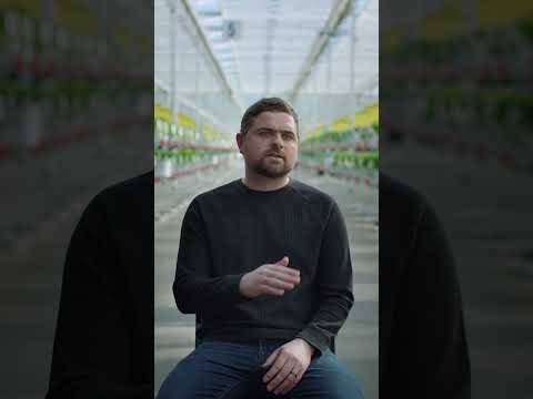 Growing with AI | Intel