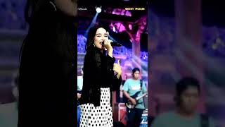 Download lagu GEBOY MUJAIR - Tasya Rosmala - OM ADELLA mp3 Download lagu GEBOY MUJAIR - Tasya Rosmala - OM ADELLA mp3