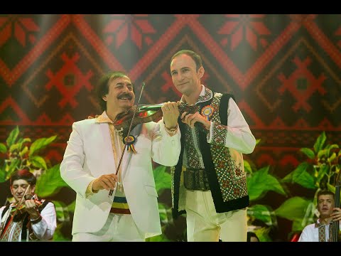 Ion Paladi  - Colaj de melodii de joc si voie buna